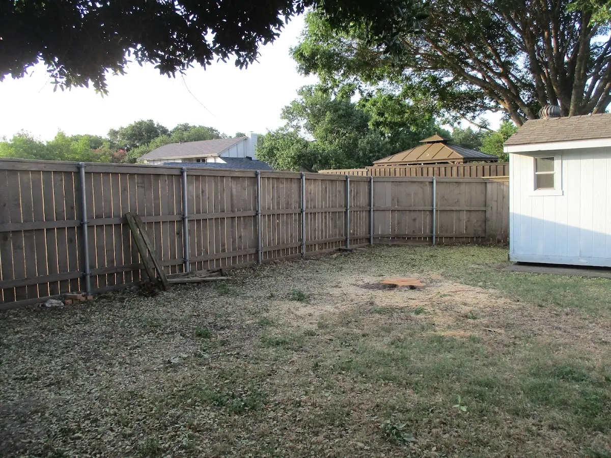 Cleared yard after professional tree removal in Telogia
